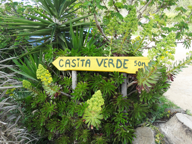 Sustainable community Casita Verde (Green Heart) IIbiza is the place for nature lovers! 